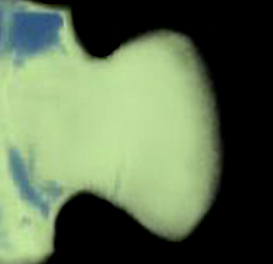 3D computer representation of a theiler stage 19 forelimb in situ hybridized with a frizzled 6 probe